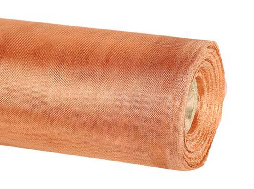 phosphorous bronze woven wire mesh